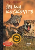 Šelmy kočkovité - Boj o přežití (DVD) + kniha