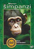 Šimpanzi (DVD) (Chimpanzee)