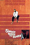 Sladký pták mládí (DVD) (Sweet Bird Of Youth)