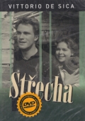 Střecha (DVD) (Tetto, Il)