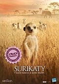 Surikaty (DVD) (Meerkats)