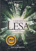 Tajemství lesa (DVD) (Il était une foret)