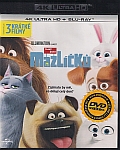 Tajný život mazlíčků 1 (UHD+BD) 2x(Blu-ray) (Secret Life of Pets) - 4K Ultra HD Blu-ray