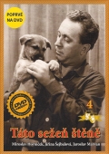 Táto sežeň štěně (DVD) - pošetka