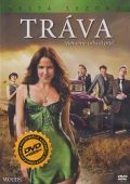 Tráva - kompletní 6 Sezóna 3x(DVD) (TV seriál) (Weeds: Season Six)