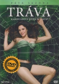 Tráva - kompletní 5 Sezóna 3x(DVD) (TV seriál) (Weeds: Season Five)