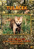Tuláček (DVD)