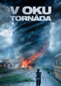 V oku tornáda (DVD) (Into the Storm)