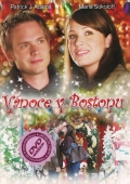 Vánoce v Bostonu (DVD) (Christmas In Boston)