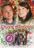 Vánoce v Bostonu (DVD) (Christmas In Boston) - pošetka