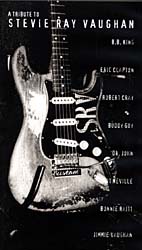 Vaughan Stevie Ray / Tribute To Stevie Ray Vaughan (DVD)