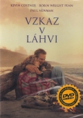 Vzkaz v láhvi (DVD) (Message In a Bottle) - CZ dabing