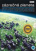 Zázračná planeta - kompletní série 5x(DVD) (Planet Earth) - BAZAR