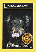 Ze života psů (DVD)