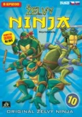 Želvy Ninja 10 (DVD) (Teenage Mutant Ninja Turtles) - vyprodané