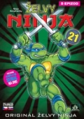 Želvy Ninja 21 (DVD) (Teenage Mutant Ninja Turtles)