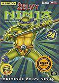 Želvy Ninja 24 (DVD) (Teenage Mutant Ninja Turtles)