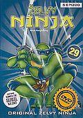 Želvy Ninja 29 (DVD) (Teenage Mutant Ninja Turtles)