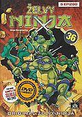 Želvy Ninja 36 (DVD) (Teenage Mutant Ninja Turtles)