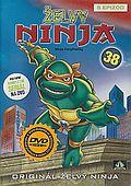 Želvy Ninja 38 (DVD) (Teenage Mutant Ninja Turtles)