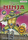 Želvy Ninja 39 (DVD) (Teenage Mutant Ninja Turtles)