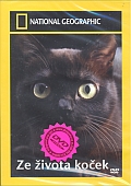Ze života koček (DVD) (vyprodané)