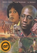 Život v deltě (DVD) (Down in the Delta)