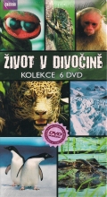 Život v divočině - sada 6x(DVD) - BBC (Wild South America Collection)