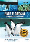 Život v divočině 6 (DVD) - Pobřeží tučňáků - BBC (pošetka)