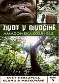 Život v divočině 5 (DVD) - Amazonská džungle - BBC