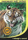 Fascinující svět zvířat - V džungli a savaně (DVD)