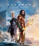 Aquaman a ztracené království (Blu-ray) (Aquaman and the Lost Kingdom)