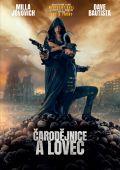 Čarodějnice a lovec (DVD) (In the Lost Lands)
