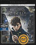 Fantastická zvířata a kde je najít (UHD+BD) 2x(Blu-ray) (Fantastic Beasts and where to find them) - 4K Ultra HD