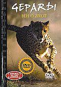 Gepardi - běh o život (DVD) + kniha