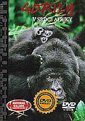 Gorily - v srdci Afriky (DVD) + kniha