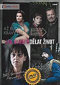 Jak si nepodělat život 2x[DVD] - český seriál