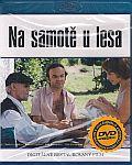 na_samote_u_lesa_bdP.jpg