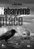 Nabarvené ptáče 2x(DVD)