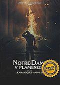 Notre-Dame v plamenech (DVD) (Notre-Dame brûle)