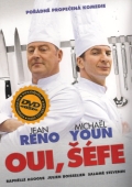 Oui, šéfe! (DVD) (Comme un Chef)