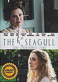 Racek (DVD) (Seagull)