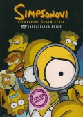 Simpsonovi (seriál) - 6. sezóna (DVD) - bazar (vyprodané)