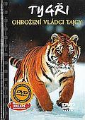 Tygři - ohrožení vládci Tajgy (DVD) + kniha