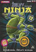 Želvy Ninja 12 (DVD) (Teenage Mutant Ninja Turtles)