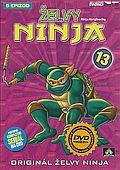 Želvy Ninja 13 (DVD) (Teenage Mutant Ninja Turtles)