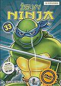 Želvy Ninja 33 (DVD) (Teenage Mutant Ninja Turtles)