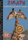 Žirafy - vyšší společnost Afriky (DVD) + kniha